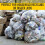 Sacos de lixo transparentes de 45 gales - 40 polegadas x 46 polegadas - 2,0 MIL (equivalente) - Srie CSR - Forros industriais pesados ????Sacos 3