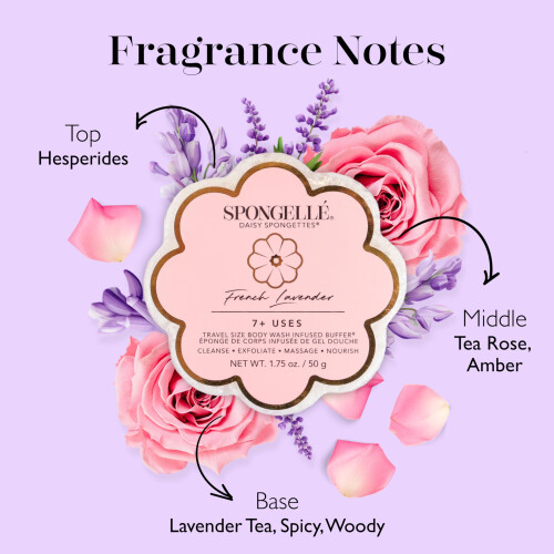 Spongelle Daisy Spongette French Lavender 1