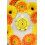 SPONGELL? Sweet Patchoui Wild Flower 3