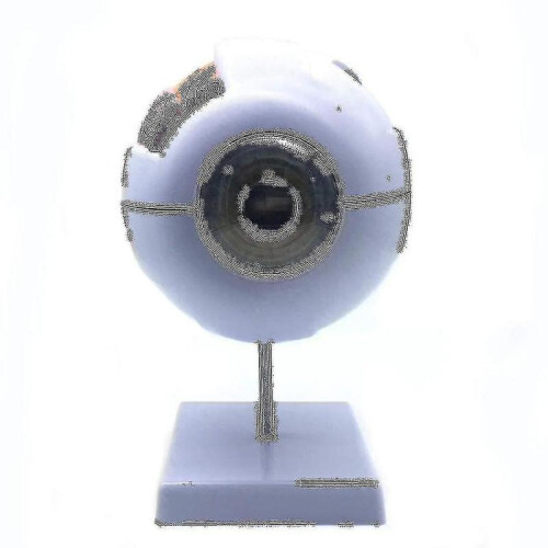 6x Enlarged Human Eye Anatomical Model,anatomically Accurate Eye Model Human Eye Anatomy for Scienc 2