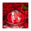 2 Pcs Bloom Flower S Silic Mold, Chocolate Cake C Pastry Dessert Sili 6