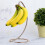 H H Tree D Hook for Kit Countertop D,a 20