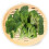 3 Piece Set - Bamboo Er Basket - Dumpling Bun Er - for Ing, Buns, Dim Sum, Ve 17