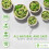Compostable Paper Plates 9 in. COMPARTMENTS – 150 Disposable Plates Eco Friendly 2