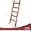 5 ft Premium Wood Rustic Ladder Shelf, Brown, Wall Mount 2