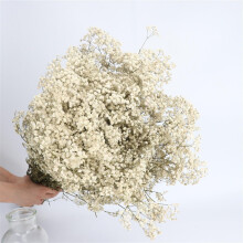 Baby Breath natural dried flower,Handmade Baby Breath Bouquet,About 240 grams,Approx 20 inches long