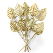 Dried Palm Leaves 10 Pcs Boho Dried Palm Spears Leaves Bulk Small Natural Dried Real Palm Fans