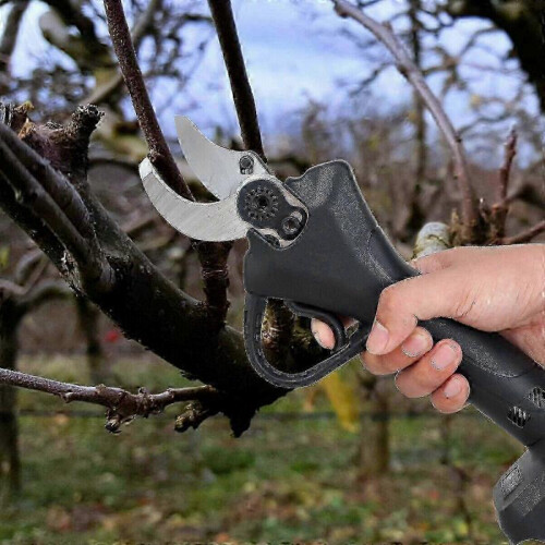 (British Standard) Electric Cordless Pruning Shears Scissor Cutter Pruner 2