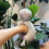 Soft Plush Stuffed Engagement Ring Toy, Wedding Diamond Ring Gift for Girlfriend, Anniversary Present for Her 4