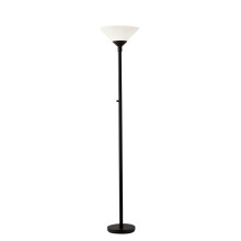 Home 750001 Transitional Two Light Floor Lamp from Aries Collection in Black Finish, 73