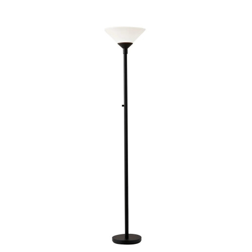 Home 750001 Transitional Two Light Floor Lamp from Aries Collection in Black Finish, 73