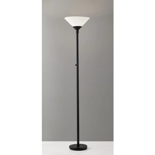 Home 750001 Transitional Two Light Floor Lamp from Aries Collection in Black Finish, 73 1