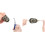 4 pcs Method Feeder,Fishing Inline Feeder,Carp Fishing Feeder Device Set,Carp Accessories with 1 oz 4