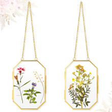 2 Pcs Glass Pressed Flower Frames Hanging Picture Clear Floating Octagon Geometric Double Frame