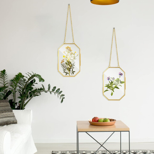2 Pcs Glass Pressed Flower Frames Hanging Picture Clear Floating Octagon Geometric Double Frame 2