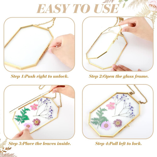 2 Pcs Glass Pressed Flower Frames Hanging Picture Clear Floating Octagon Geometric Double Frame 1
