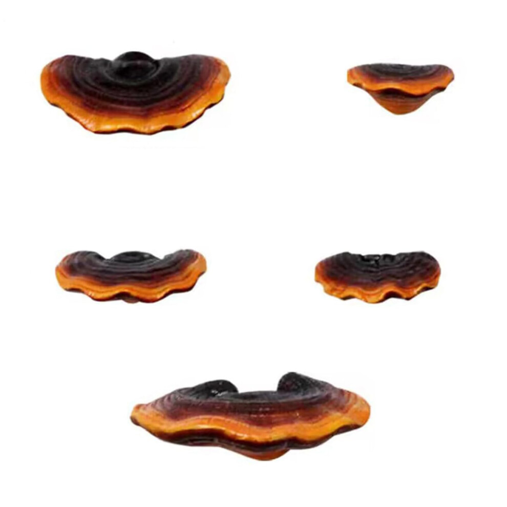 Set Of 5 Mushroom Wall Shelves Small Floating Shelves For Home Decor, Kitchen, Bedroom 395291723111