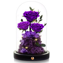 Flowers Roses Gifts for Mom Grandma,Forever Preserved Rose in Glass Dome, Mothers Day Gifts