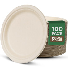 9 Inch Compostable Paper Plates (100 Pack) Disposable Dinnerware for Parties