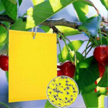 2024 - 100 Pieces Yellow Double Sided Fly Trap, Double Sided Yellow Traps for Flying Insects