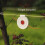 Slingshot Target Practice Catch Box 4