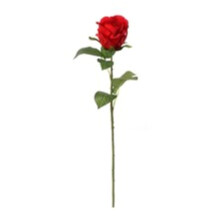20' Rose Bud Stem 12 Pack
