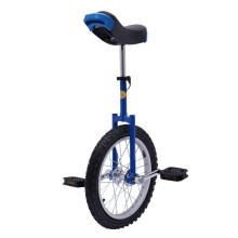 Wheel Unicycle with Alloy Rim Adjustable Seat Exercise Bicycle for Outdoor Activities24in