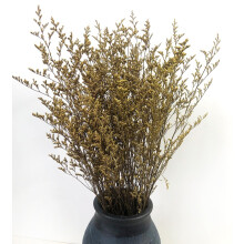 Preserved Valentine Grass Natural Limonium Bouquet, Real Caspia Bellidifolium, Sea Lavender (Yellow)