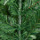6FT Artificial Snow Tipped Pine Cones Christmas Tree Holiday Party Decor 7