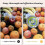 (B) High Efficient Portable Fruit and Vegetable Washers, Fruit and Vegetable Cleaning Machines, 2025 New 4