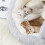 Καλάθι γάτας, μαλακό κρεβάτι για γάτες και σκύλους, ζεστό ημικλειστό καλάθι 4