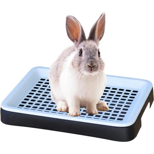 Φορητή αμμολεκάνη για κουνέλια, ινδικά χοιρίδια, χάμστερ, πουλιά και είδη 2