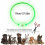 Επαναφορτιζόμενο κολάρο σκύλου LED με φώτα που αναβοσβήνουν για σκύλους όλων των 4