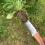 Garden Knife Weeding Digging Tool 7" Blade Full Tang w/ Sheath 1
