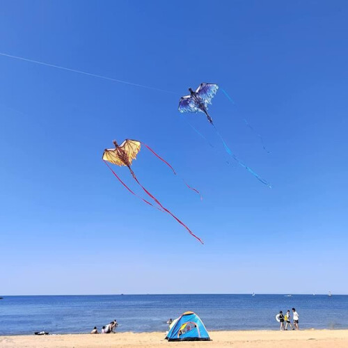 Χαρταετός για παιδιά και ενήλικες – Ice Dragon – Fiberglass – 100 μέτρα σχοινί 2