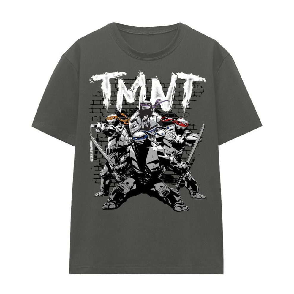 (L, charcoal) Teenage Mutant Ninja Turtles Unisex Adult Tmnt Team T-shirt