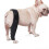 (M) Pet Dog Knee Brace Knee Cap Dislocation Arthritis Keeps The Joint Warm Extra Support Best Gift 1