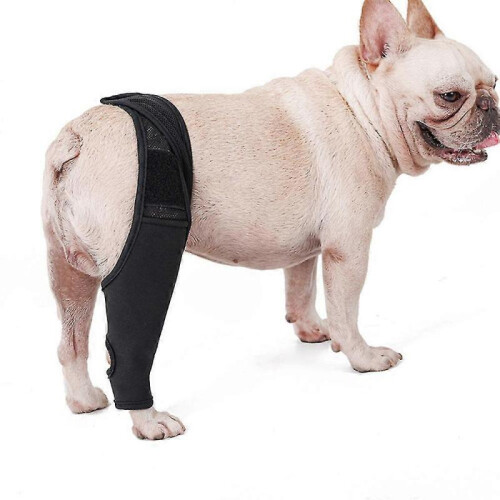 (M) Pet Dog Knee Brace Knee Cap Dislocation Arthritis Keeps The Joint Warm Extra Support Best Gift