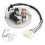 Motorcycle Motor Stator Magnetic Coil Ignition Coil Magnetic Stator Suitable for PW80 2