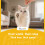 PawHut PawHut 173cm Cat Tower Scratching Post Activity Centre for Indoor Grey 9