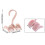 4pcs Bags Storage Rack Hook Wardrobe Silk Scarf  Rotatable Hanger 4