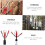 Manual Double Lever Efficient  Cork Press for  Making on  Bottles 5