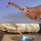 Oxygen & Acetylene Torch Kit,Welding Kit,Cutting & Brazing Torch Kit, Acetylene Torch Set 5