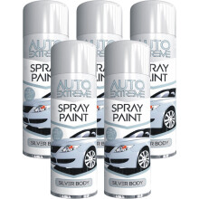 5 x 250ml Silver Body Auto Spray Paint Perfect Matt Finish Spray