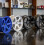 Rose Gold  Alloy Wheel Paint High-Performance  – Scratch-Resistant 3
