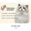 Soft Velvet Safe Cat Adjustable Collar Bling Diamante with Bells 5
