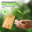 6 Set Plain Bamboo Cutting Board for Engraving Purpose Rectangular 12' X 9' 5