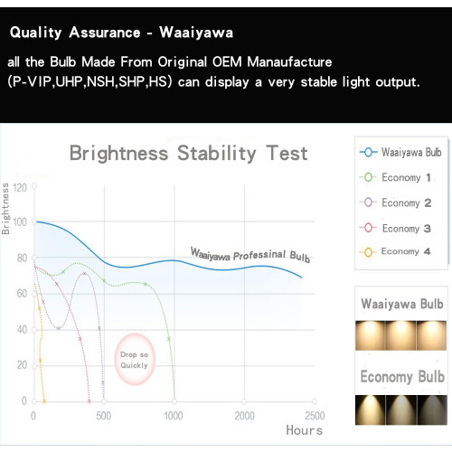 Replacement Projector Lamp for Home Theater and Office Presentations 2
