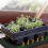 (50*52cm) Waterproof Plant Heating Mat Seedling Germination Propagation Clone Starter Pad 5