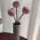 (Orange) Mother's Day gift - Tulip Shaped Table Lamp Night Light-4 Colors Generous Sturdy Creative Durable 4